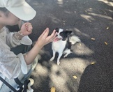 <2주차> 반려동물기초훈련 