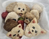 <2주차>반려동물수제간식