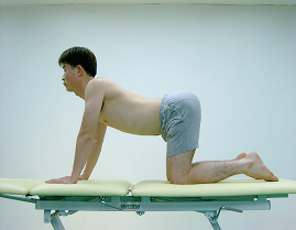 네발기기 자세에서 척추 움직임 증가 운동 1(말 등 운동)