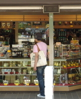 2009 해외현장 실습