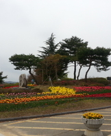 튤립축제 쿠키판매