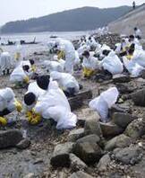 남간대 태안봉사활동 