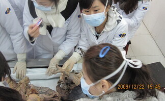 2009 간호과 해외 현장..